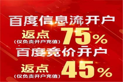 精准投放，高效转化——sem竞价账户运营全记录